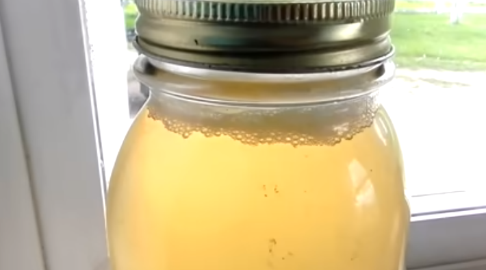 DIY Probiotic Water