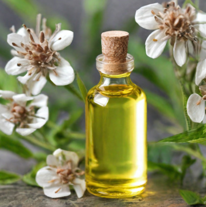 essential oils for nerve pain